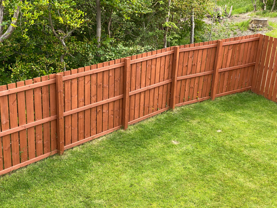 Backyard Fence Repair? Or Replace? What to do in Colorado?