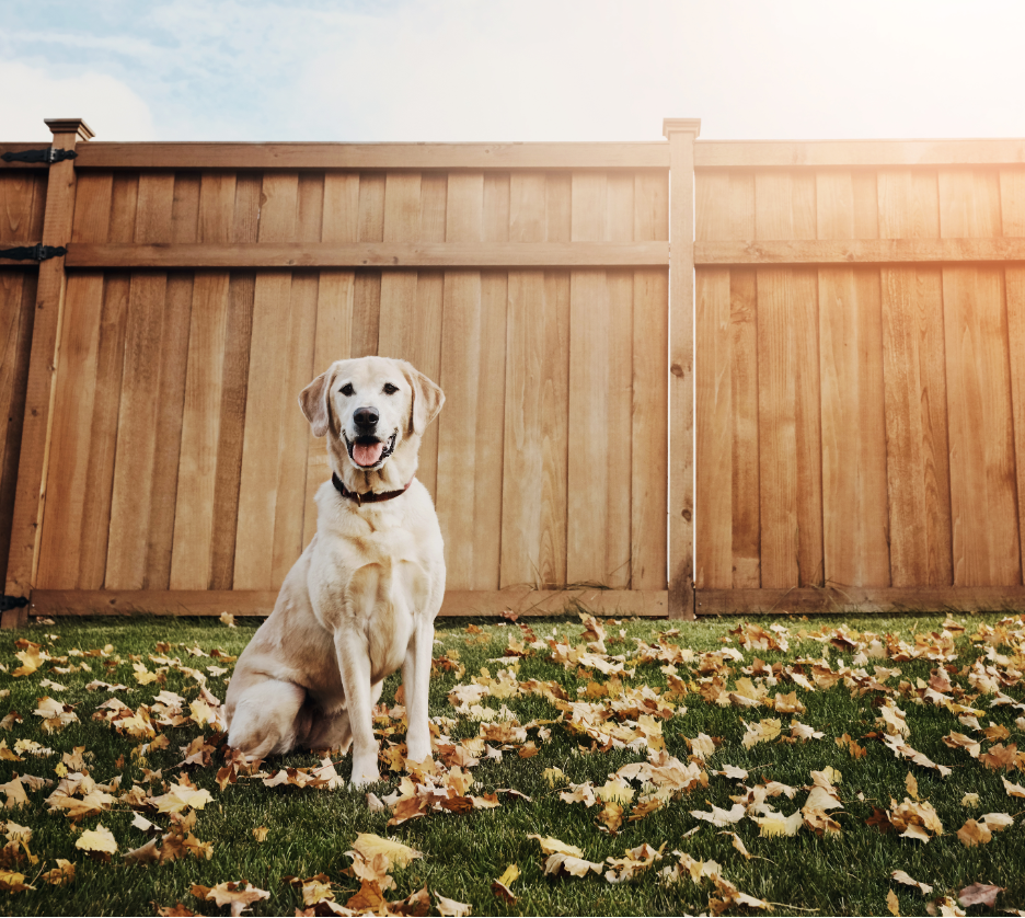 Fencing Companies in Sturtevant, Wisconsin